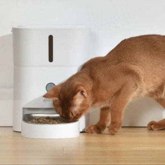 Distributeur Smart 4L™